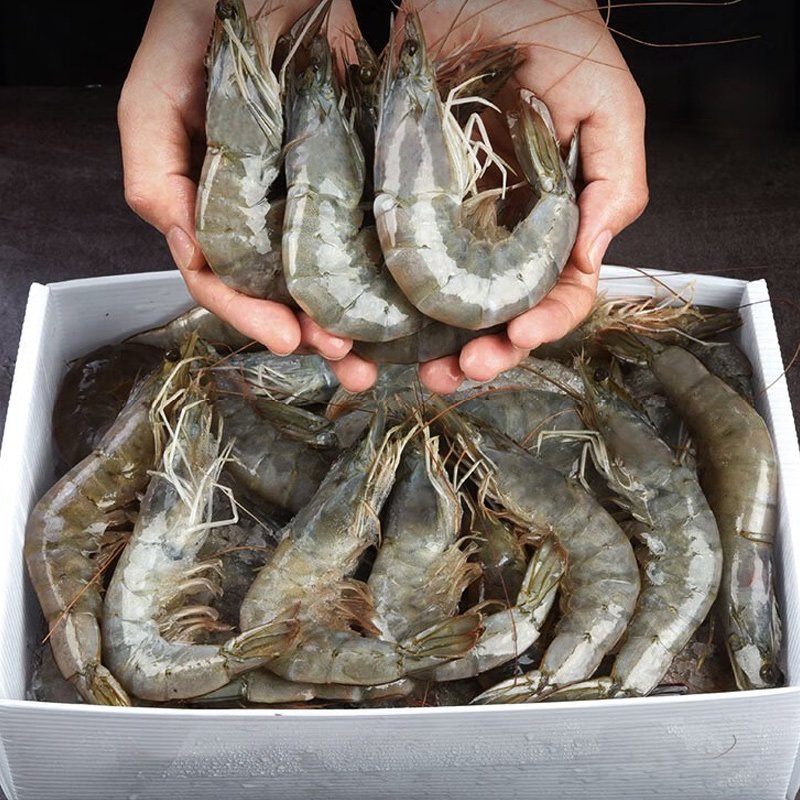南美对虾新鲜肥美 海虾速冻锁鲜31-36只/斤装顺丰包邮25年新虾