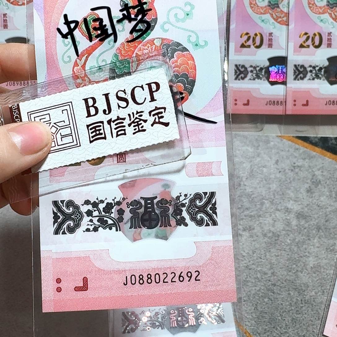 塑料088022692。。。。。中国梦 龙珠号