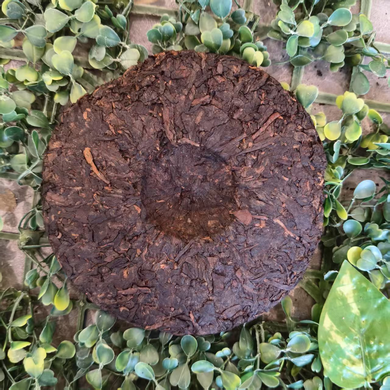 雨腾妹夫  核X班 YW嫡C金Q相S财Q循H局紫芽X根200g/饼熟茶(6.30)