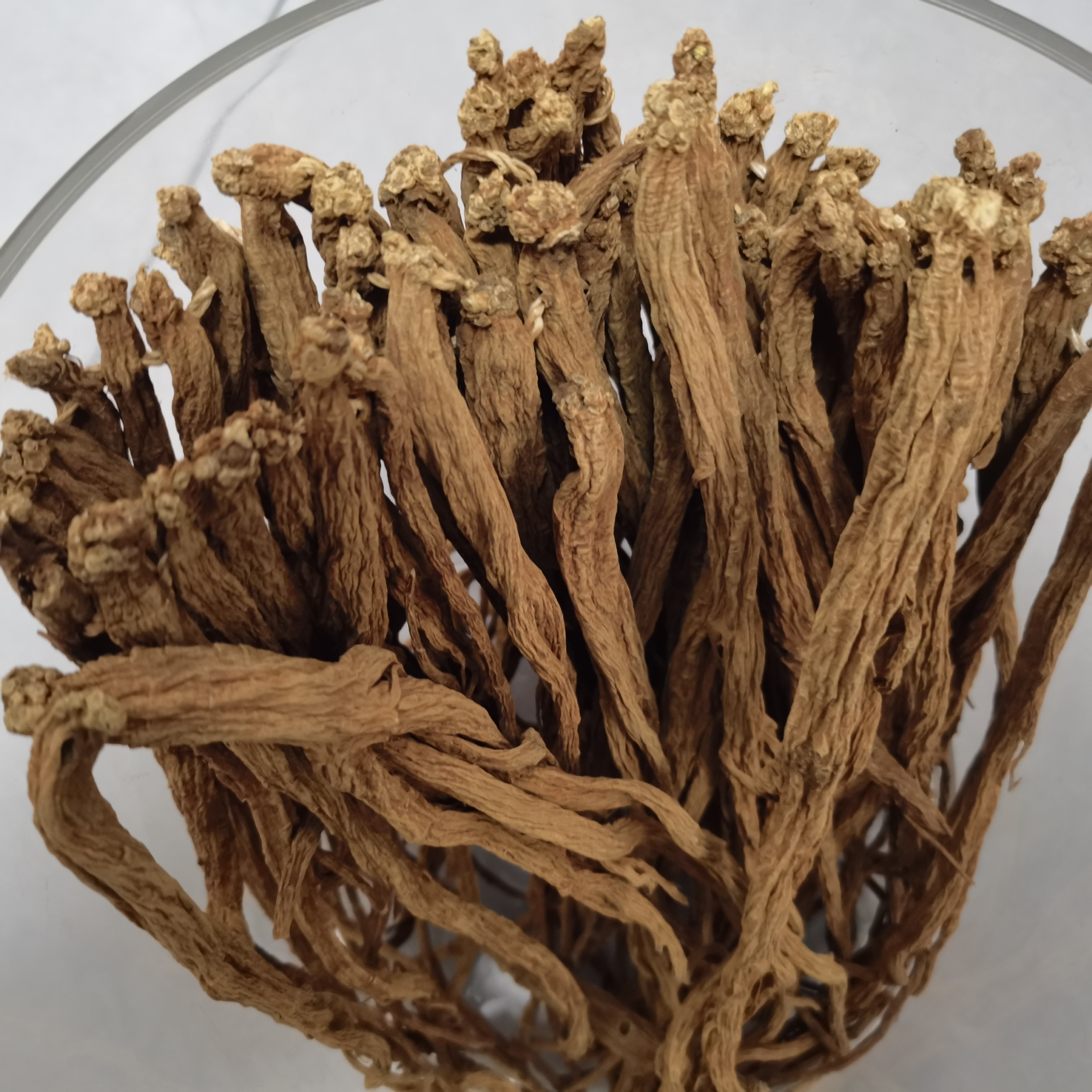 云滇山货———滇党参