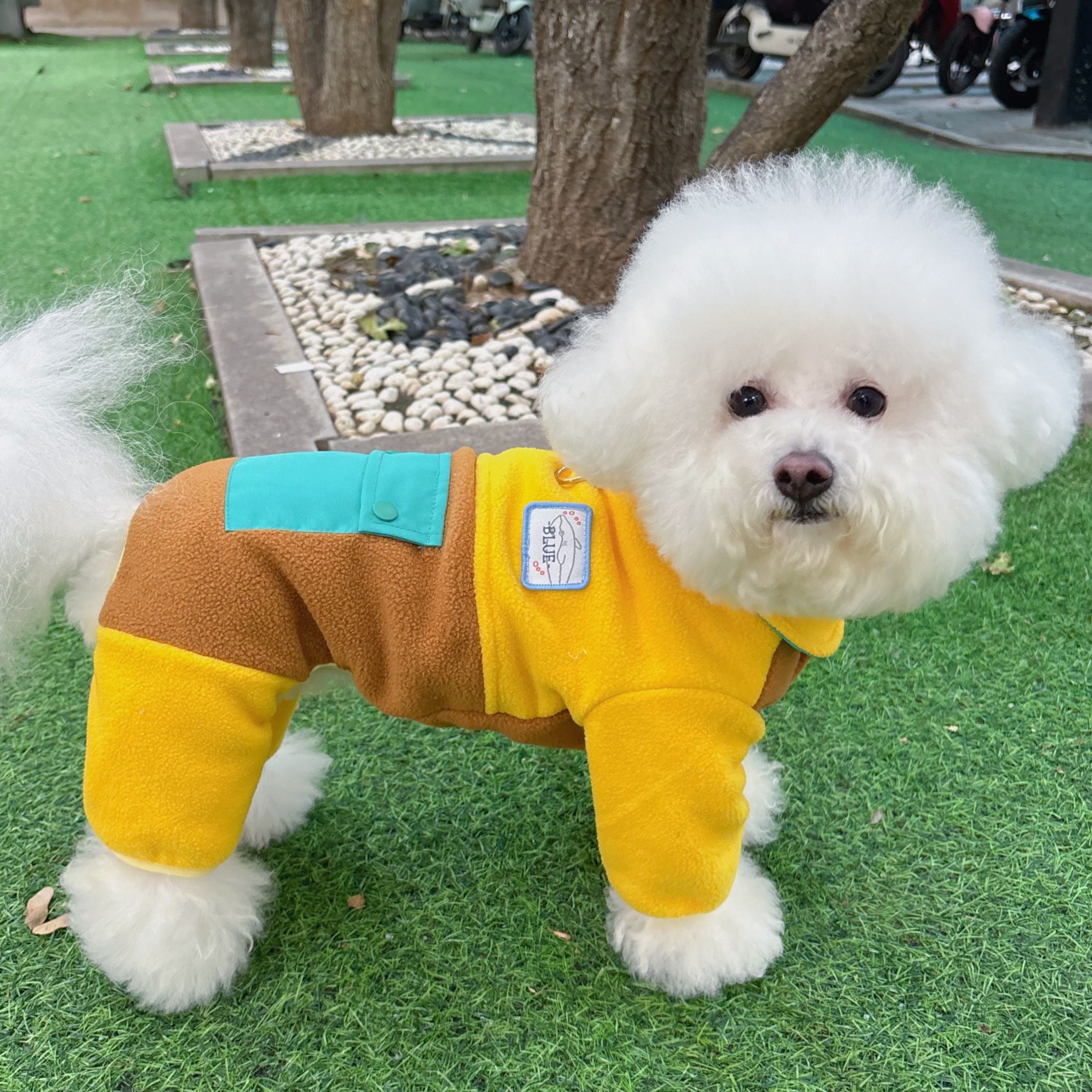 2025新款狗狗衣服秋冬小型幼犬比熊泰迪博美可牵引保暖冬装四脚衣