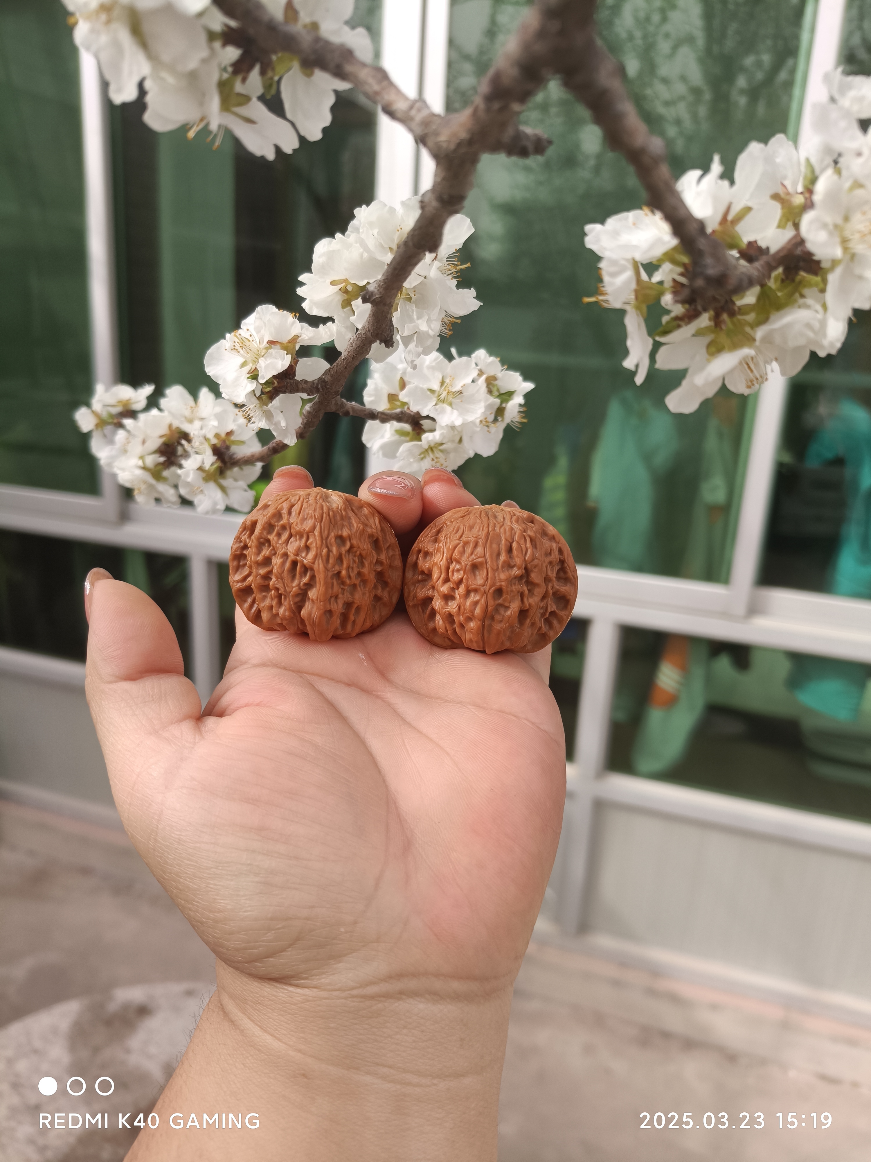 磨盘/边42/高36/肚38/39