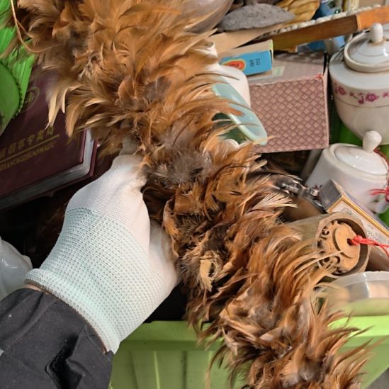 岁***好衣服啊啊啊啊啊啊啊啊啊