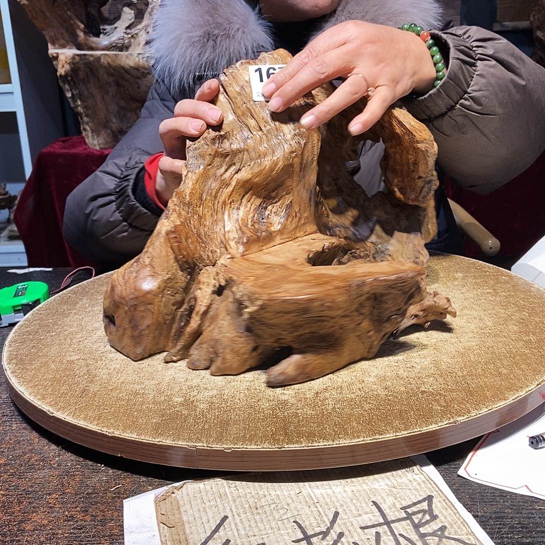 山***坊167。株木随行根艺