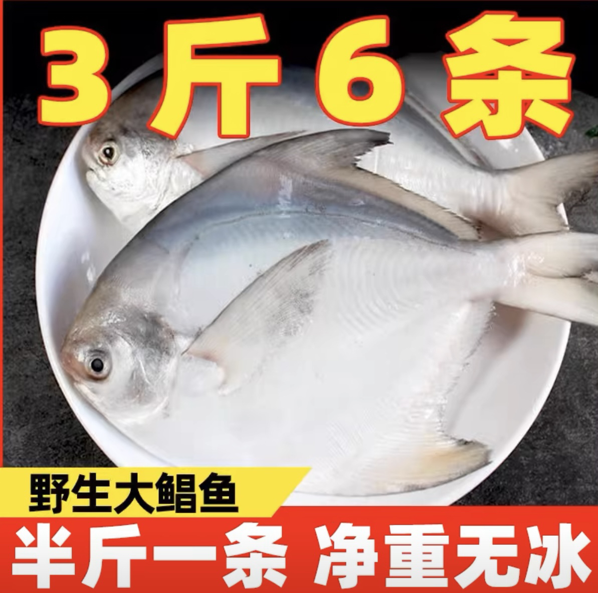 新鲜 5两一条银鲳鱼（6条）顺丰包邮液氮锁鲜发