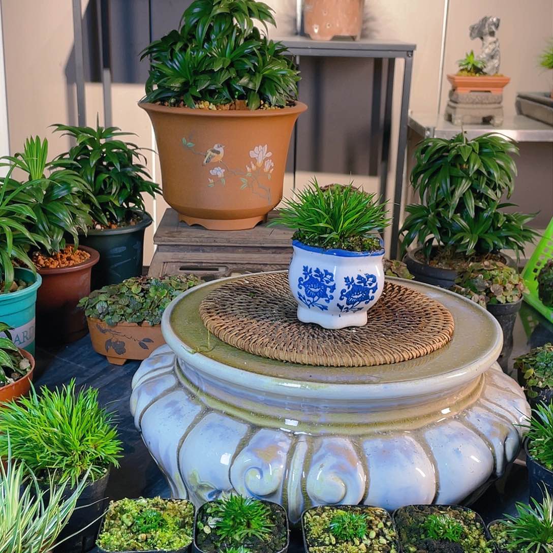 【闪购商品】完全开放