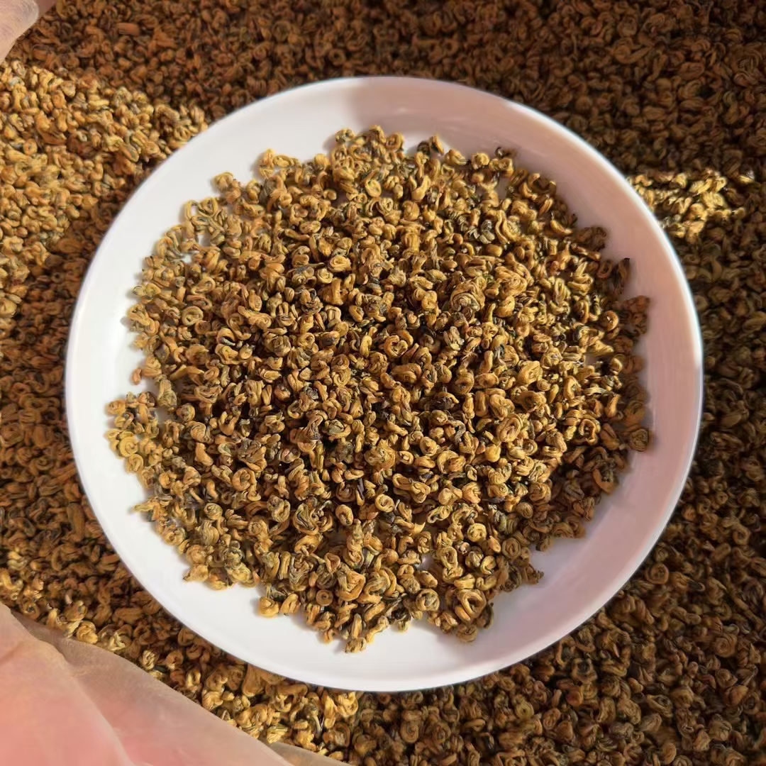 云南凤庆古树滇红金螺茶浓香型新茶清甜蜜香