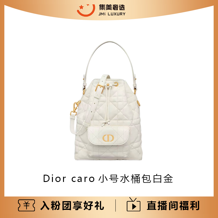 99新 DIOR/迪奥 Dior caro小号水桶包白金/AM8480代卖服务