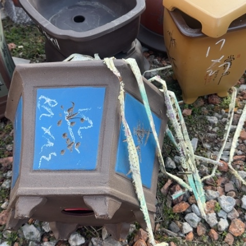 红陶紫砂花盆盆景盆栽