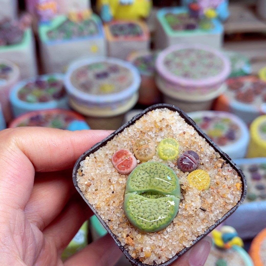 633. 77887789876677888