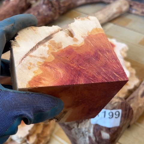 木传*丶木料木料25木料