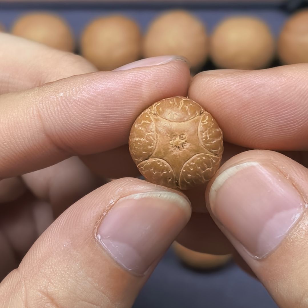 凤眼菩提手串16+五星上将