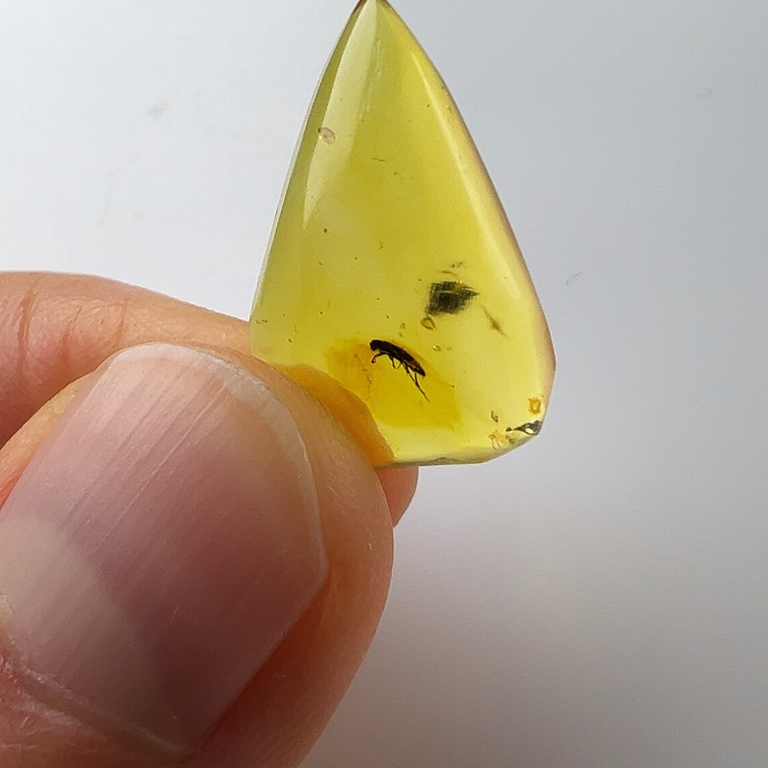 琥珀裸石未镶嵌琥珀虫珀