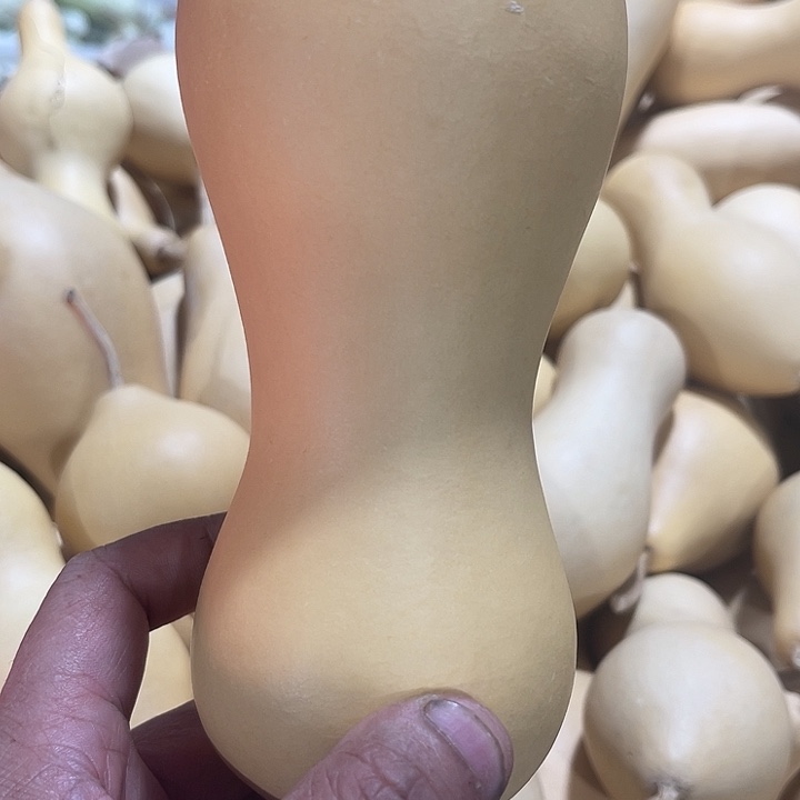 囍*樂葫芦本长啊啊啊啊啊啊呀