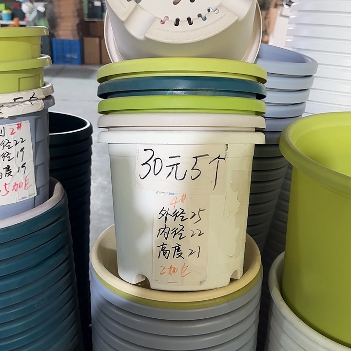 四季4#口径25灰白10个无托