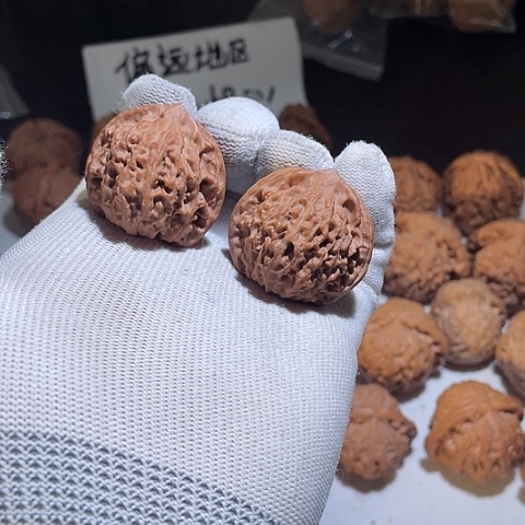 文玩核桃把件野生