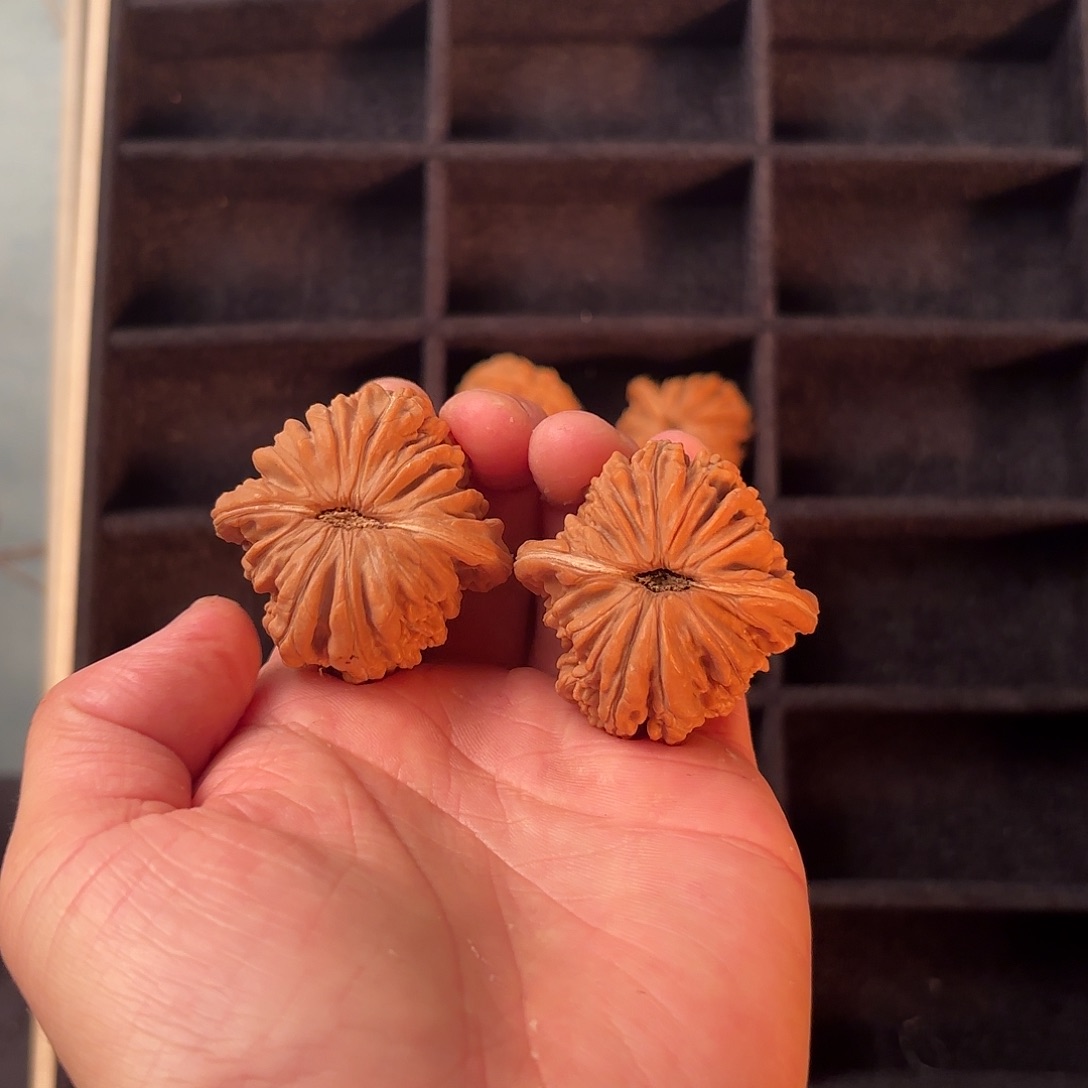 手串/手链核桃5555