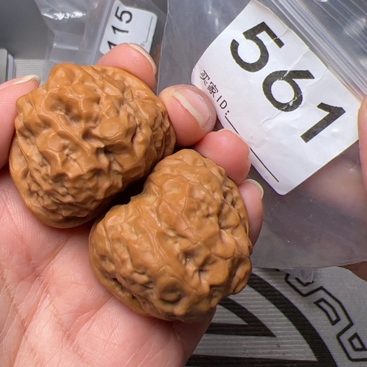 核桃边38肚42尺561号四开背