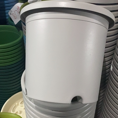 树脂四季4号微瑕灰白无托8个