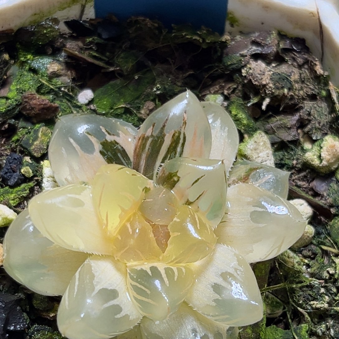 恭喜发财大吉大利879