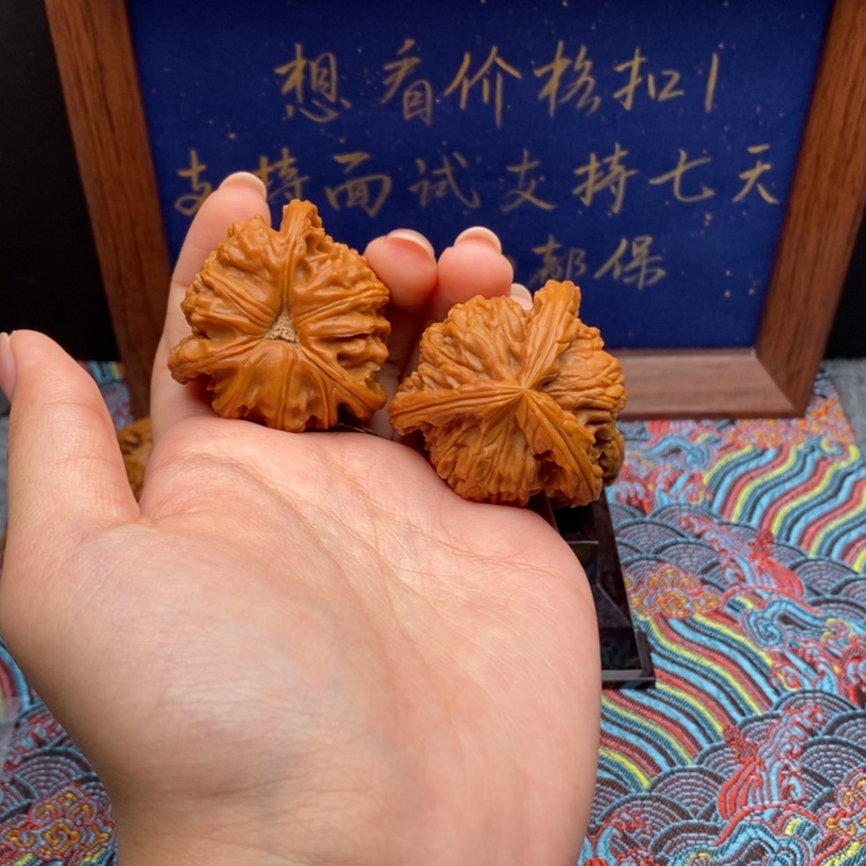 【闪购商品】Z****°白狮