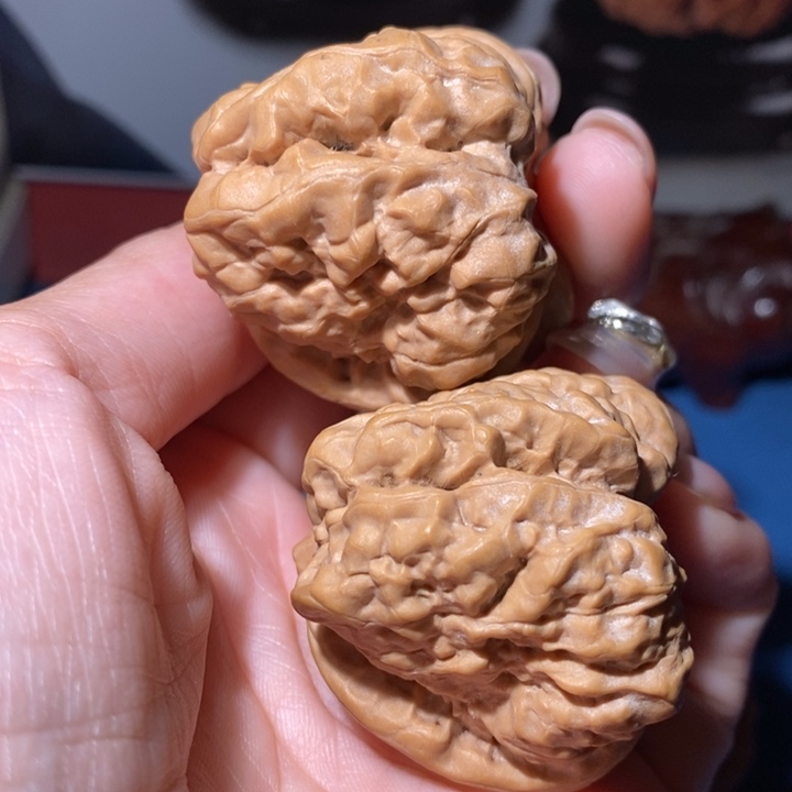 文玩核桃吊坠三角毒蟾