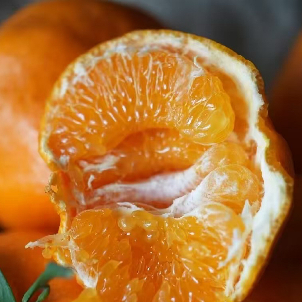 四川眉山清甜爽口春见耙耙柑9斤装20颗左右新鲜应季水果多汁自然熟皮薄易剥手剥四川省