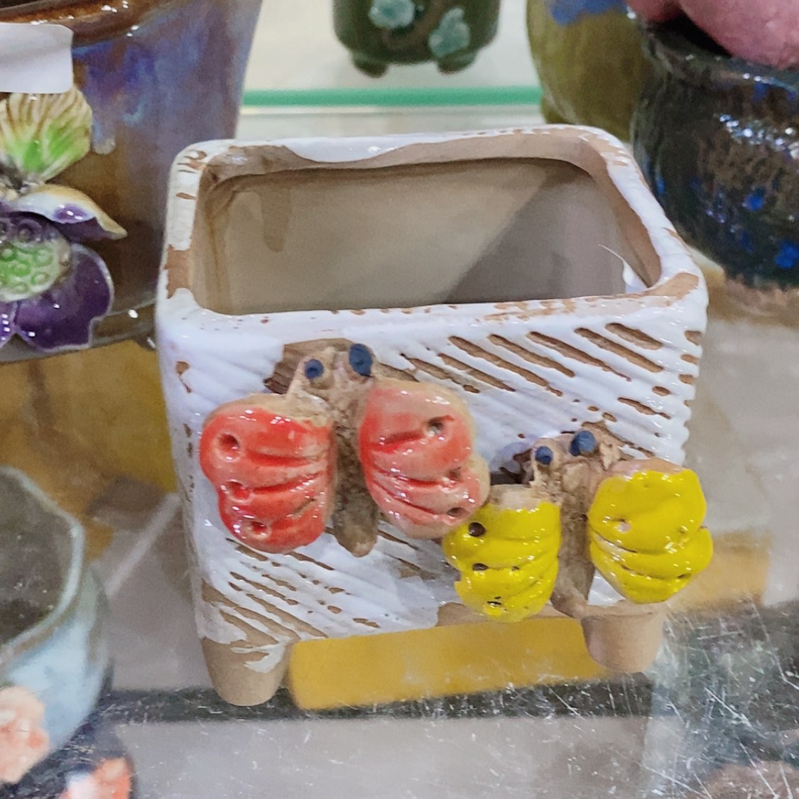 【闪购商品】红陶福利