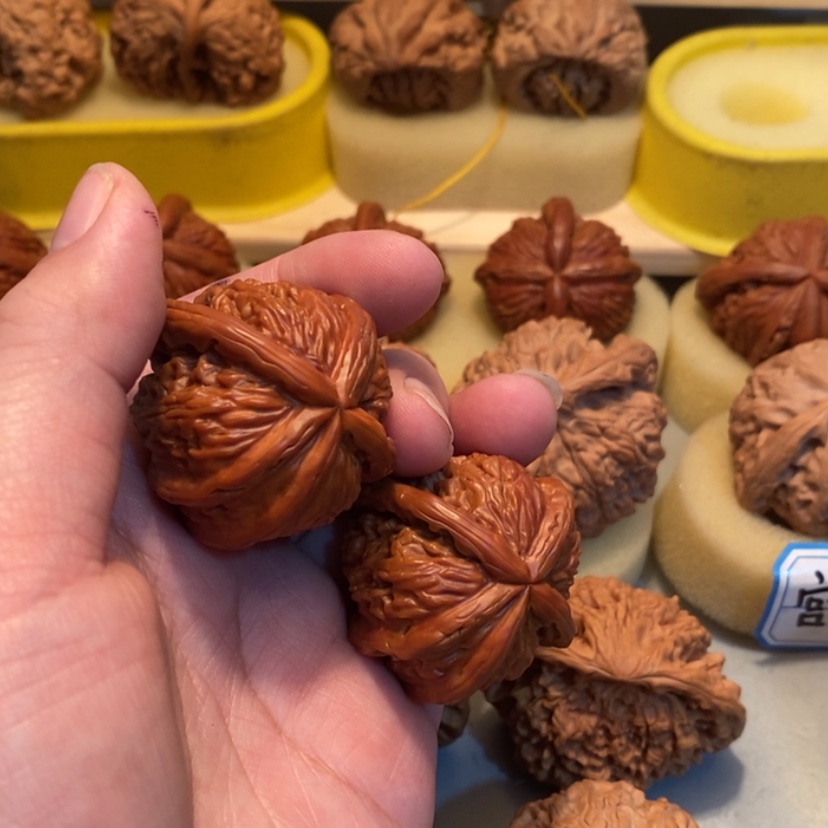 【闪购商品】小*膀ggbbbbnnbhfcvv