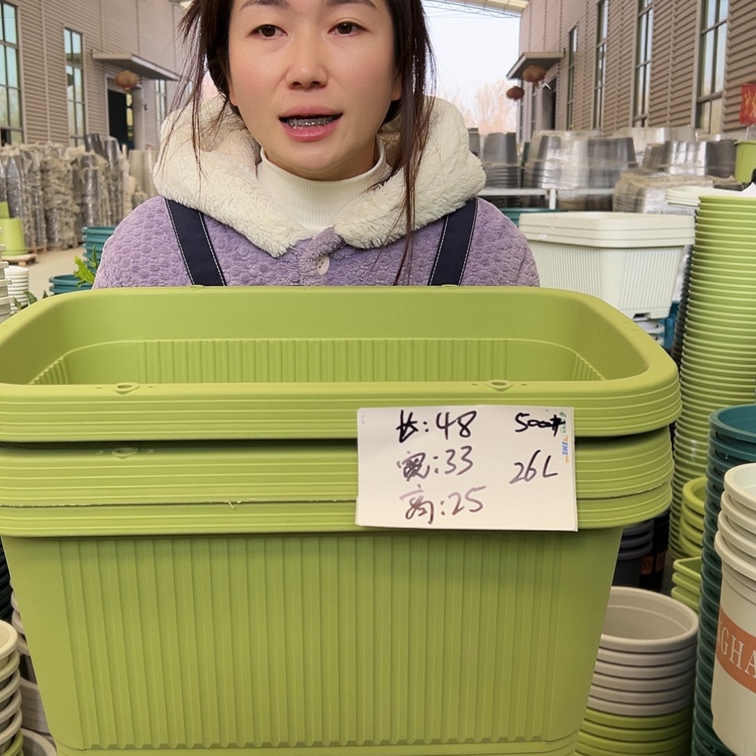 菜盆500#果绿3个无托