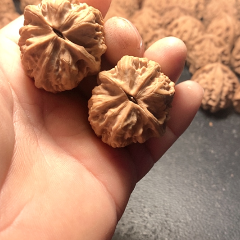 【闪购商品】观*将军