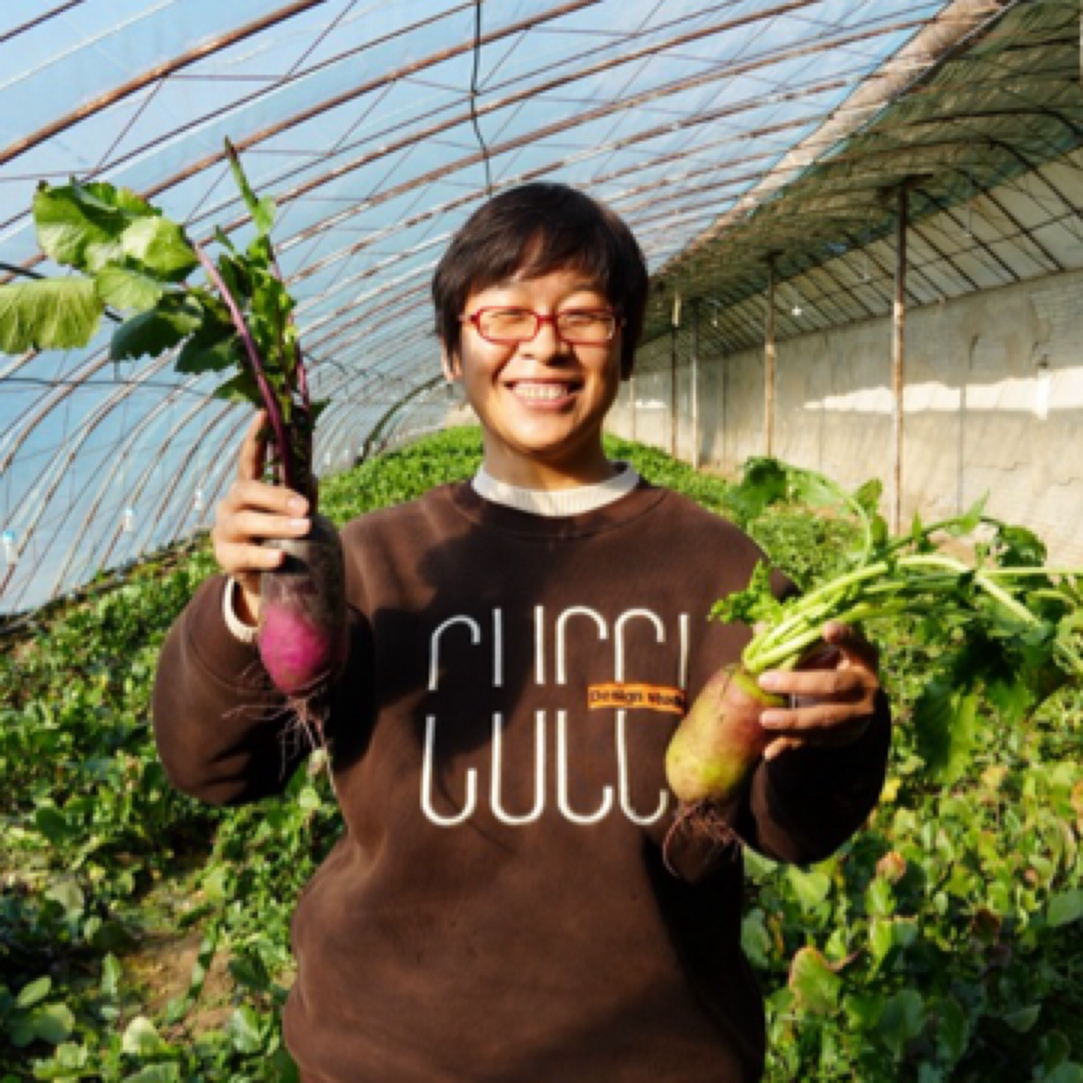 密云农家自产萝卜