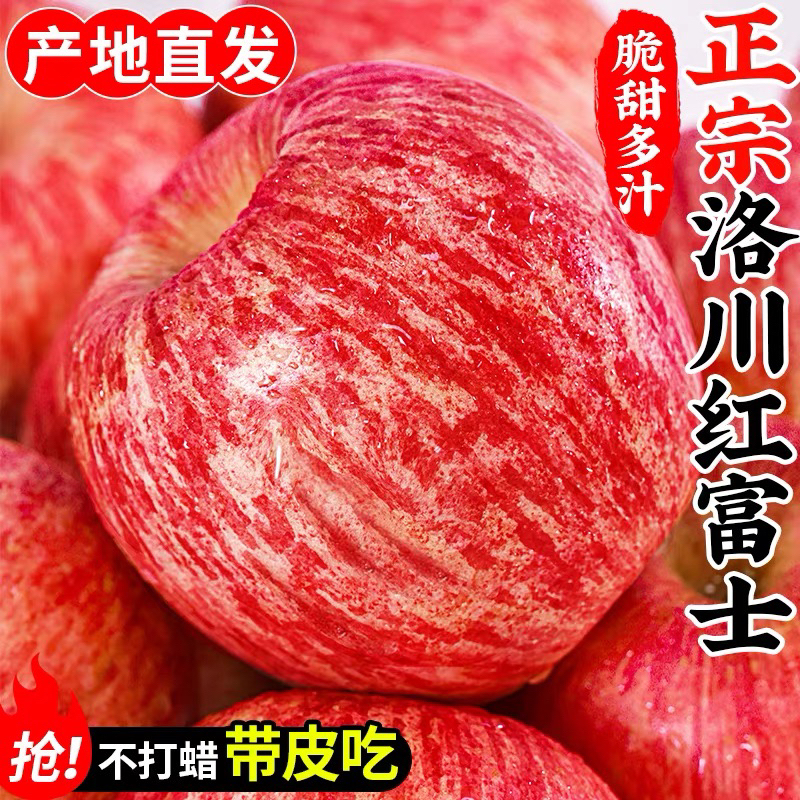 （25年新果）正宗陕西洛川红富士苹果4.5斤 现摘现发 坏果包赔