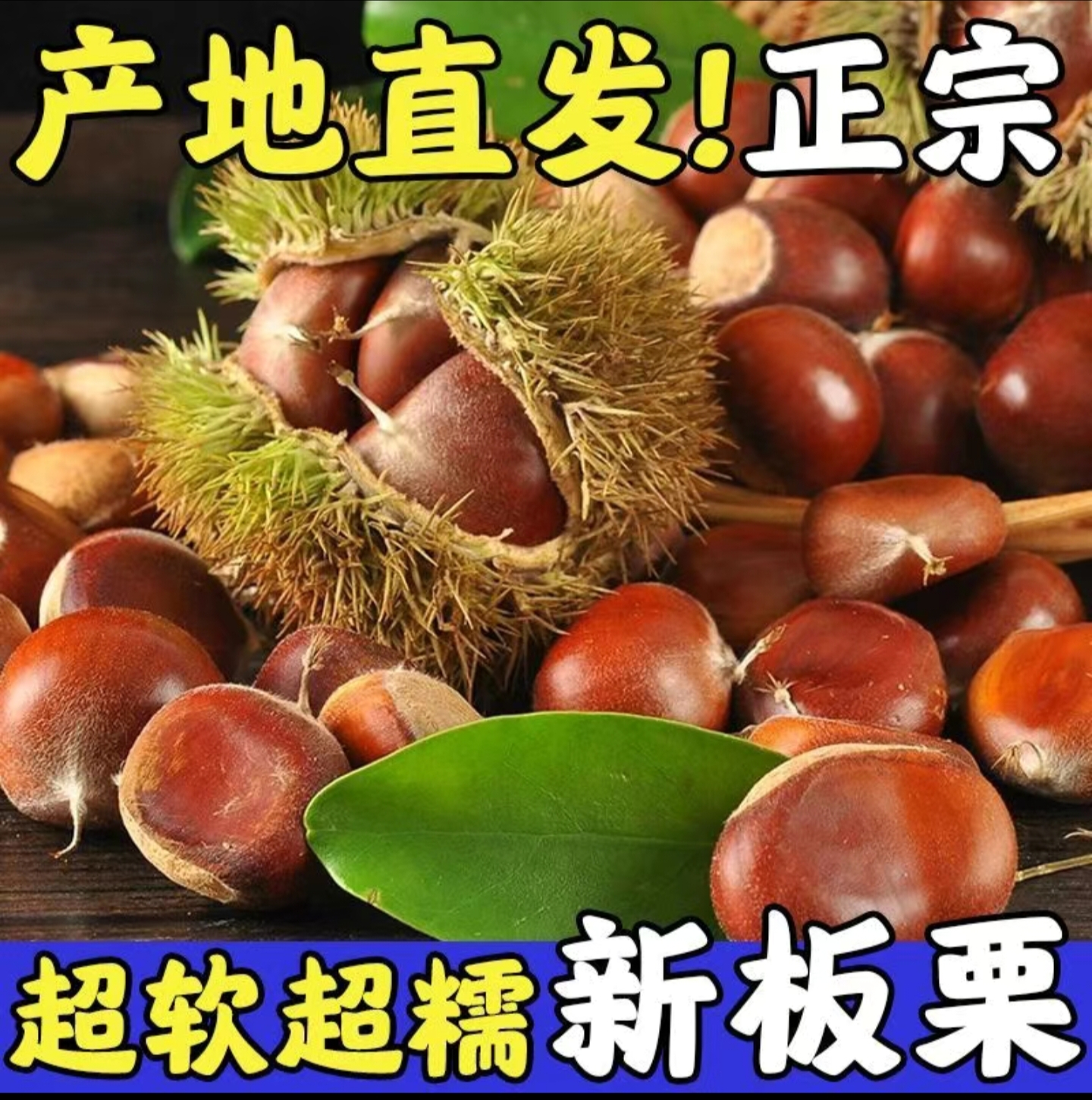 新鲜当季大板栗现摘现发原产地直送栗爪开果器甘甜粉糯原产地直发