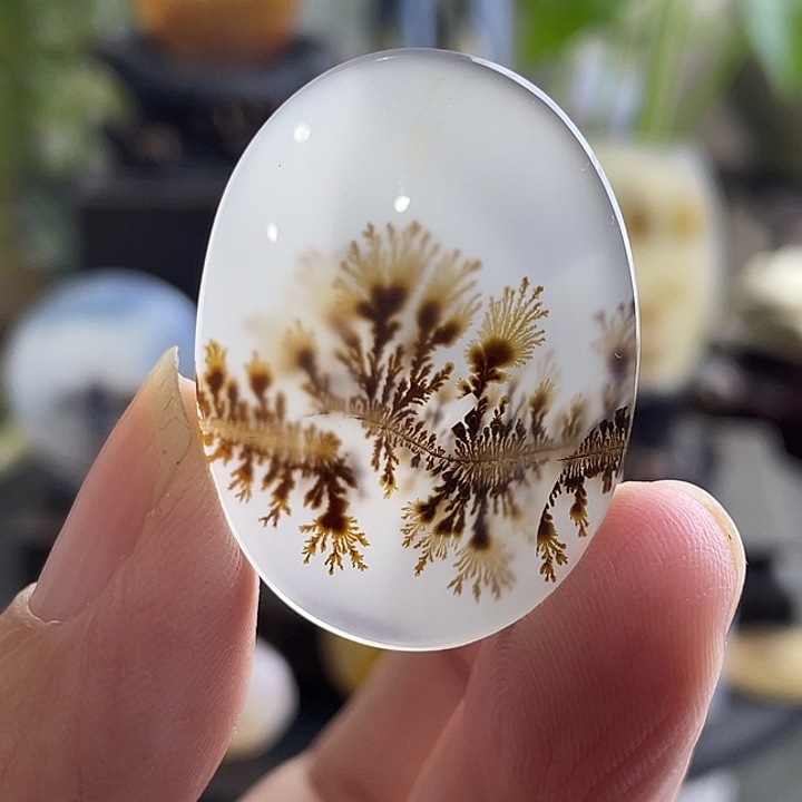 玛瑙/玉髓未镶嵌珠宝半成品