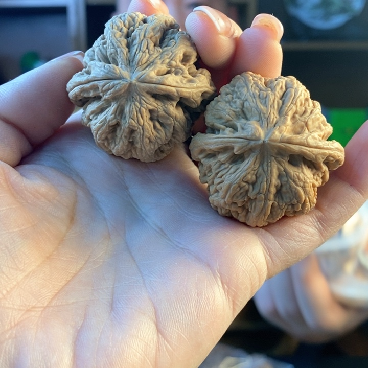 文玩核桃把件41粗筋45.8