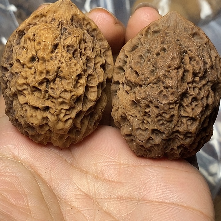 文玩核桃把件云南铁核桃76