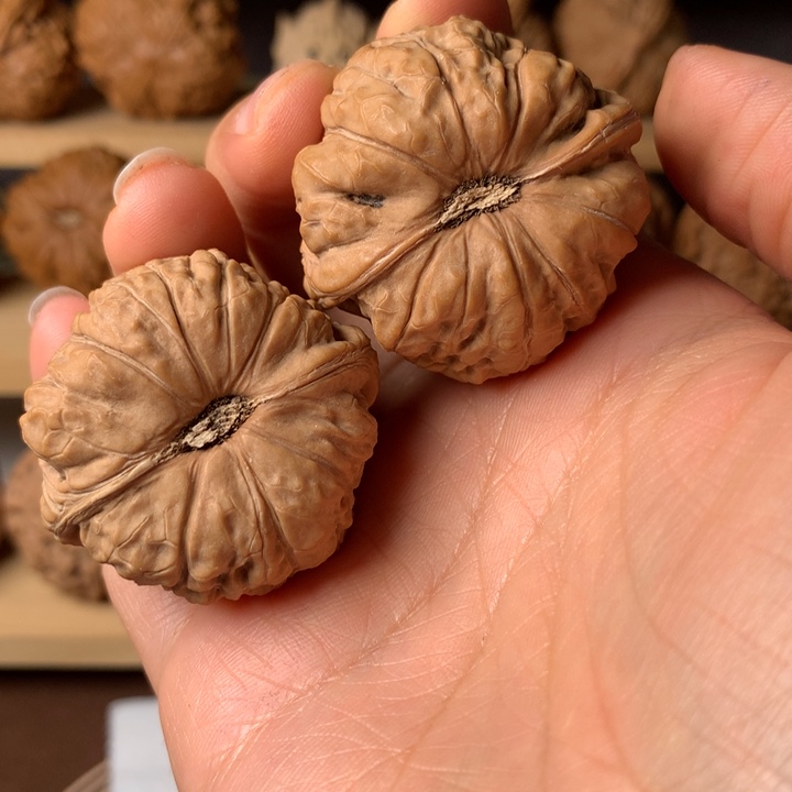 暴***子大叶紫檀（黑酸枝木类）南瓜13