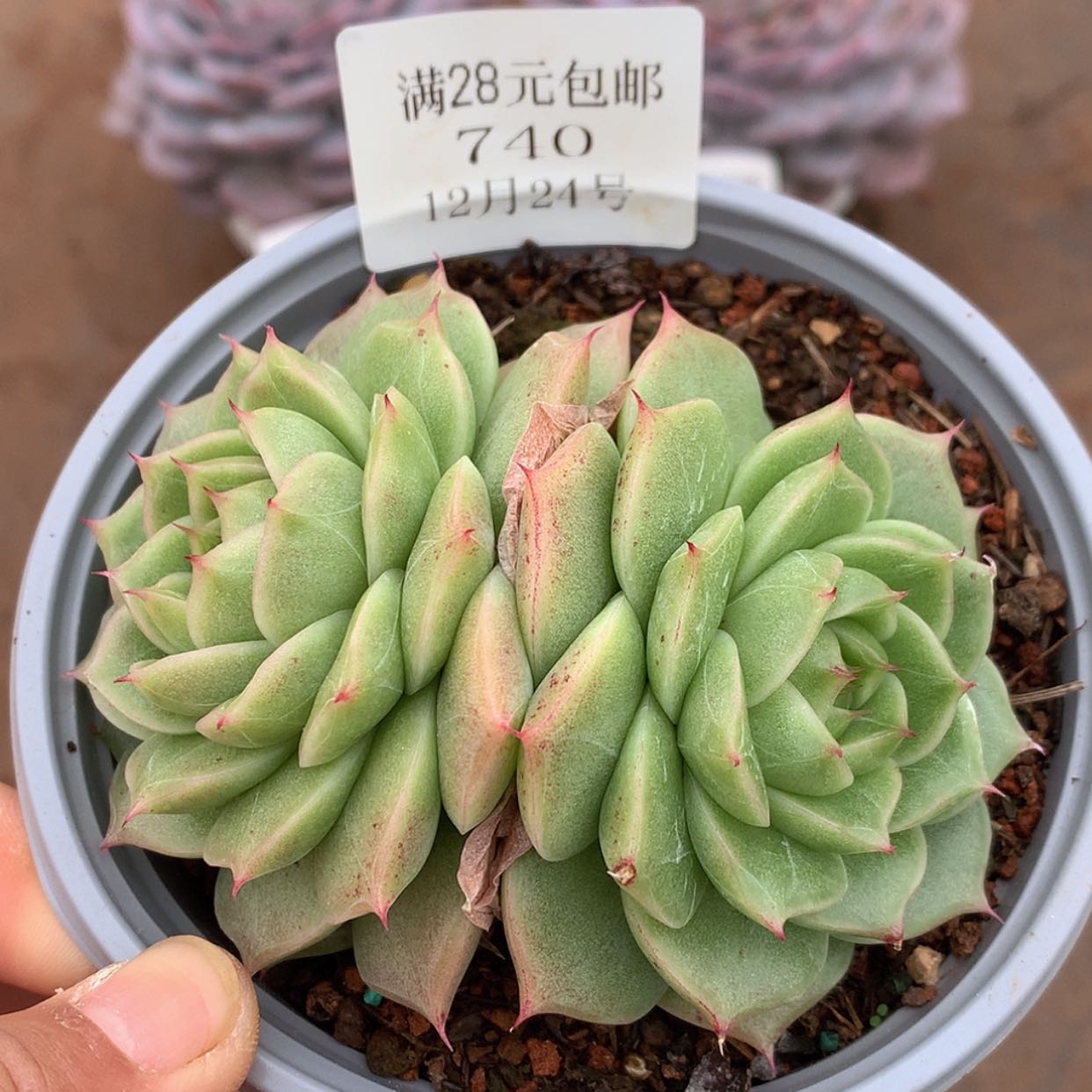 【闪购商品】云740