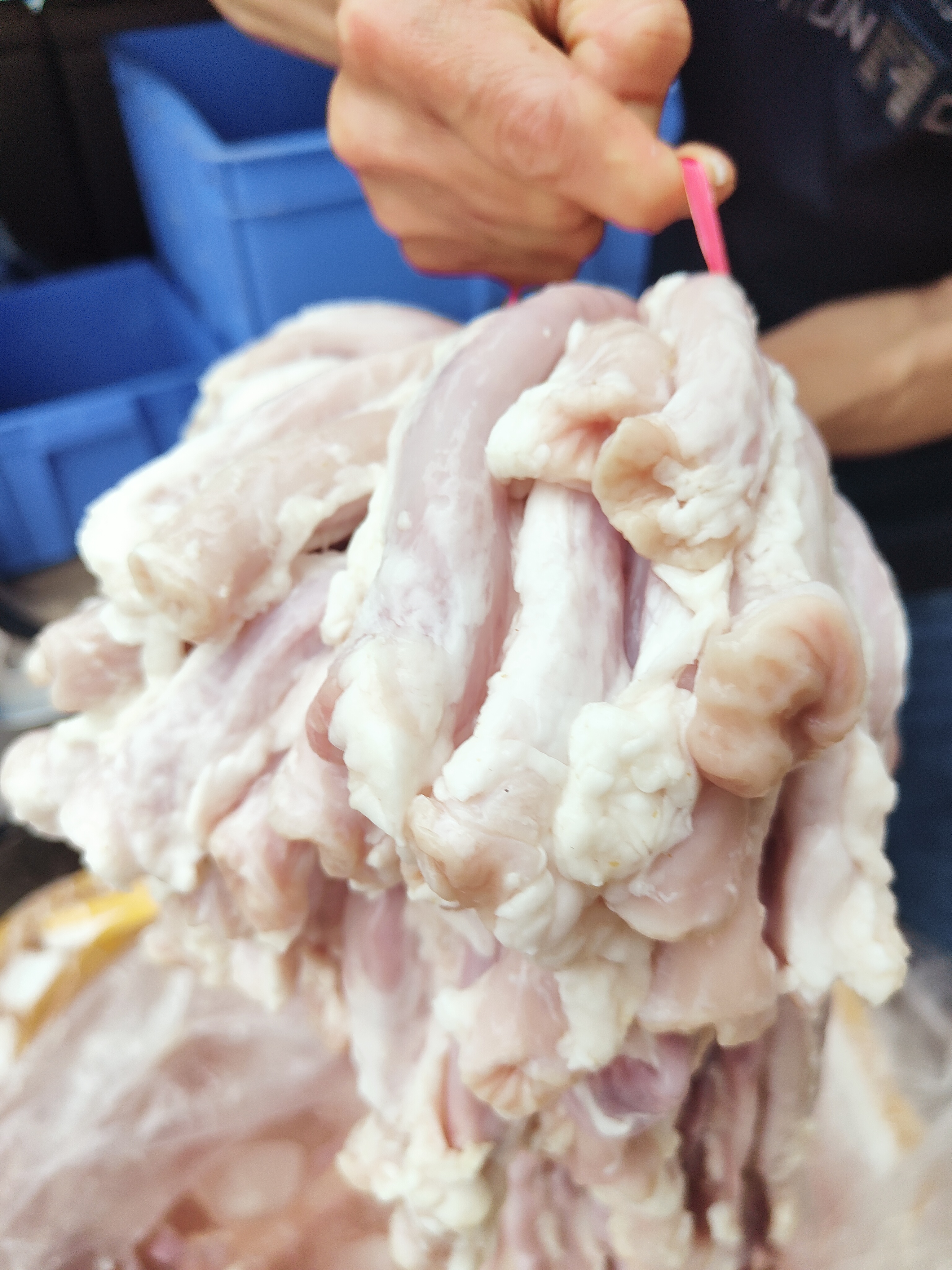 新鲜粉肠头过江肠3斤装，顺丰冷链包邮