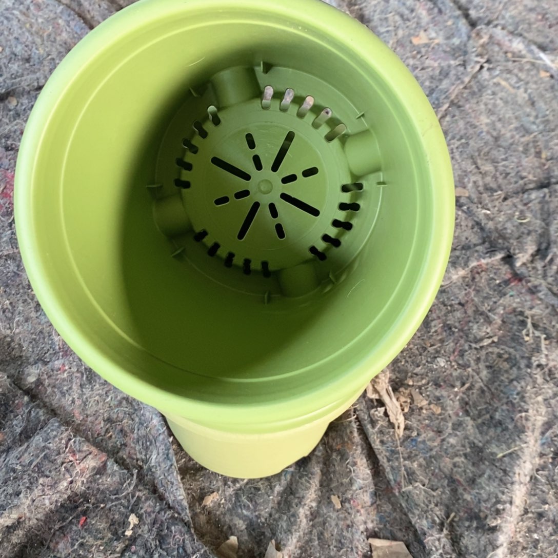 小*槿7级福利7级福利