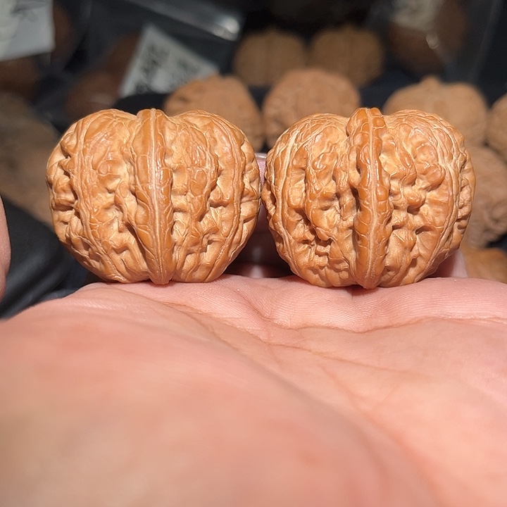 清***野木42元宝。          