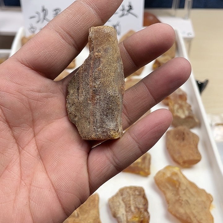 黑***墙定制琥珀未镶嵌天然琥珀蜜蜡
