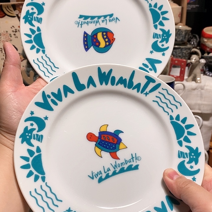 搪瓷二个一起菜盘子