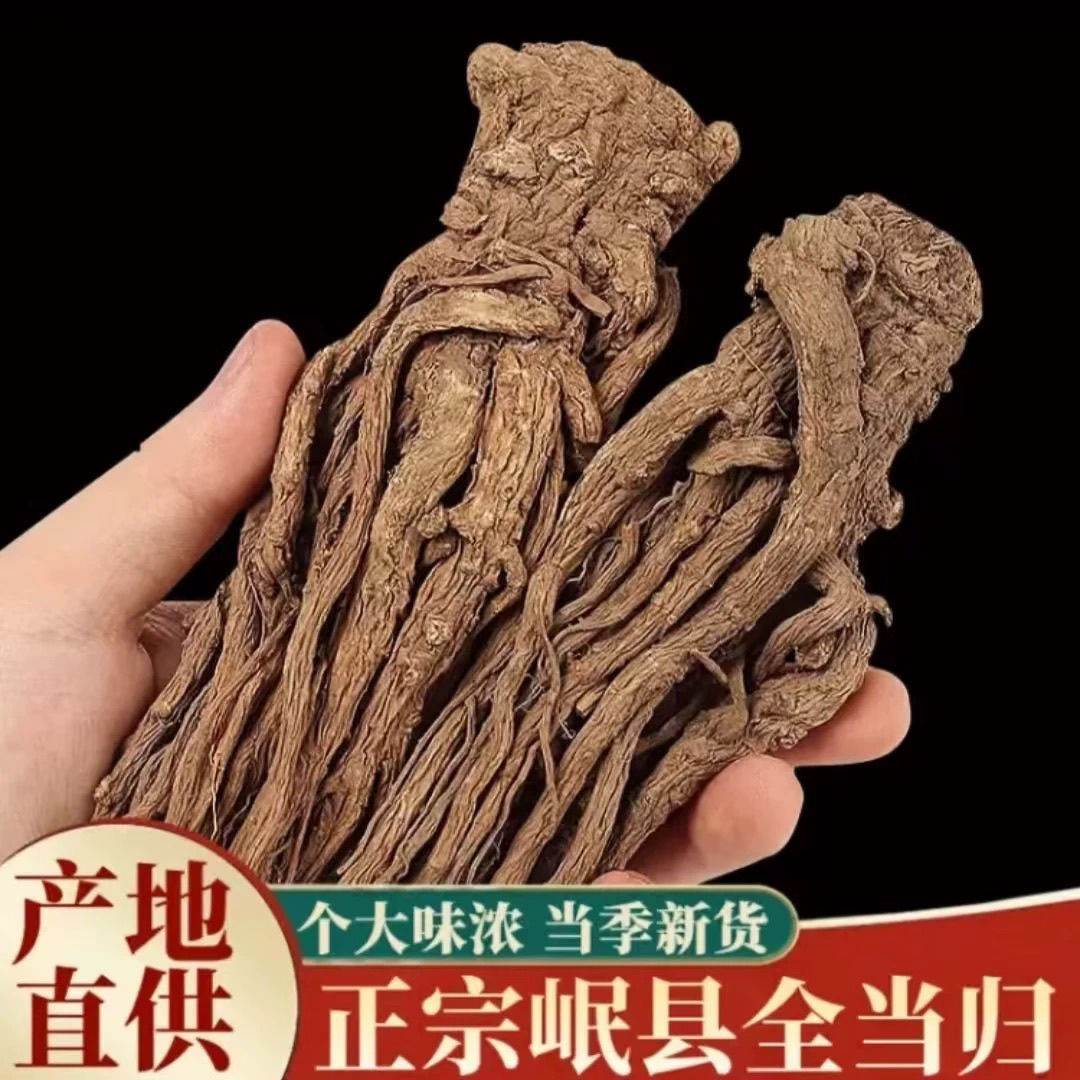 甘肃岷县特级当归整根可搭配黄芪党参煲汤滋补气血中药材