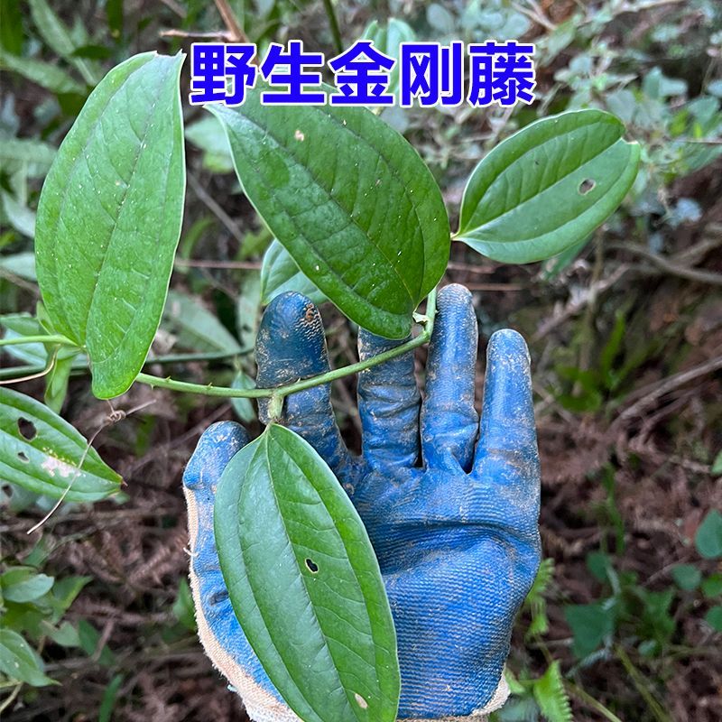 广西野生金刚藤250克菝葜金刚藤根金刚滕金刚刺菝葜根片