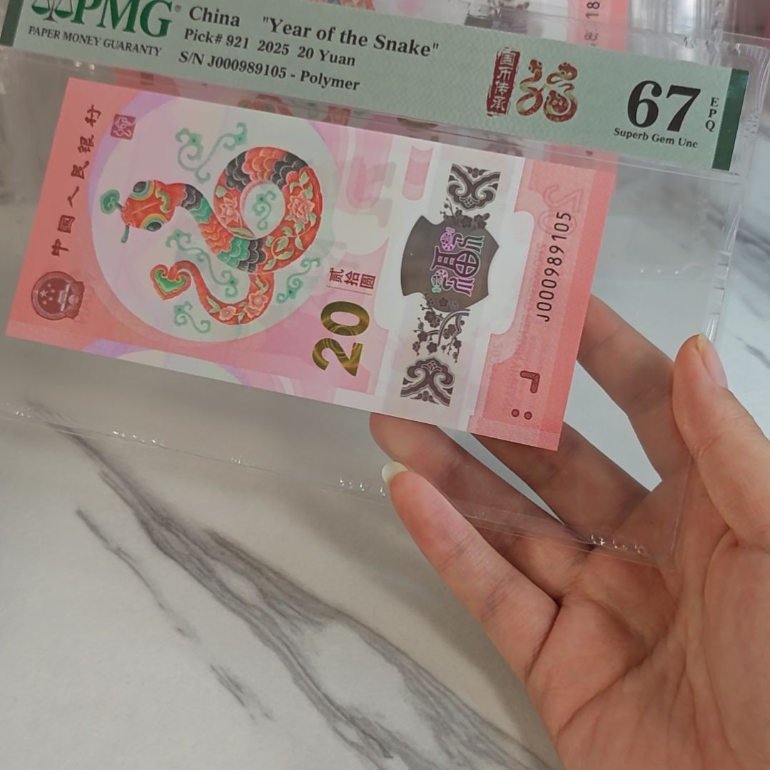 塑料000989105 小司令 金马号 单5，，，