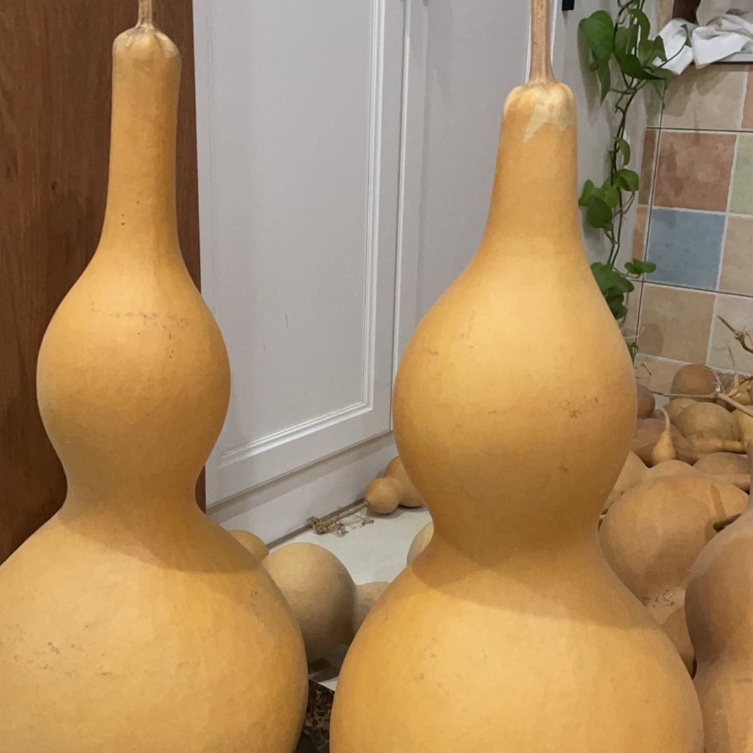 中号，胖墩，打包批发