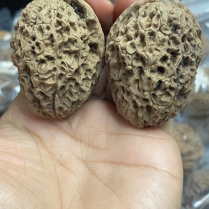 把件文玩核桃云南铁核桃基地59