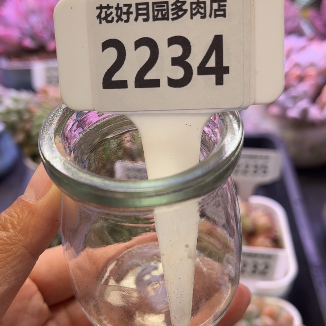 一***季2234 满30包邮，天冷地区必拍保温箱